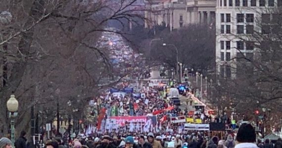 Presença de 100 mil pessoas em evento contra o aborto revela ‘jovens em guerra pela vida’