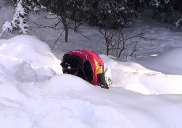 Soterrado por avalanche, jovem é salvo após o irmão ouvir a voz de Deus