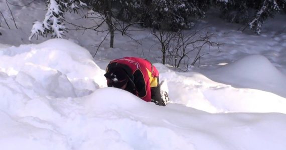 Soterrado por avalanche, jovem é salvo após o irmão ouvir a voz de Deus