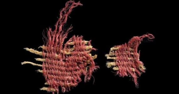 Arqueólogos descobrem tecido de 3.800 anos tingido com inseto citado na Bíblia