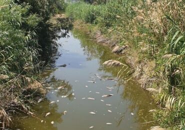 Cientistas tentam dar resposta 'científica' ao milagre da multiplicação dos peixes, feito por Jesus