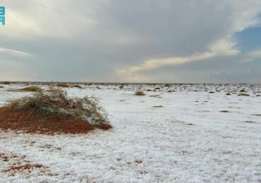 Nevou no deserto: fenômeno inédito é associado à profecia de Isaías